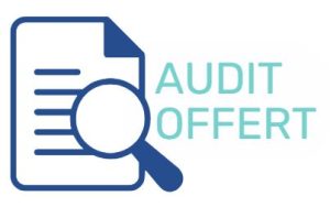 audit icon offered  